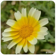 AG真人-AG真人娱乐-AG财神捕鱼-ag九游会-ag娱乐真人体育网页